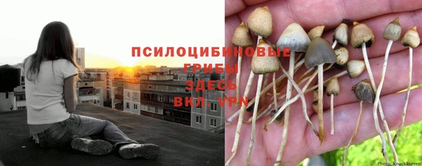 МДПВ Алексин