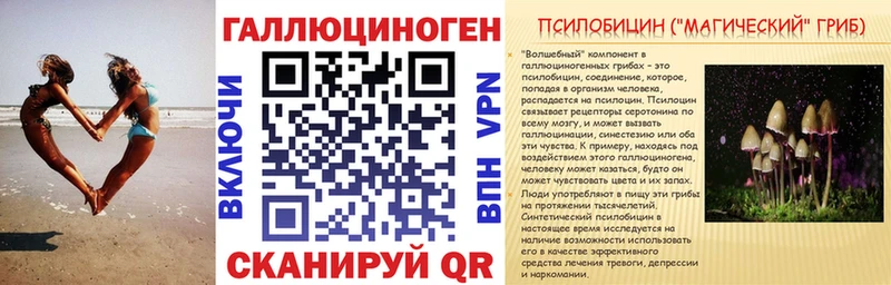 МЕГА зеркало  Новошахтинск  Псилоцибиновые грибы Cubensis  наркотики 