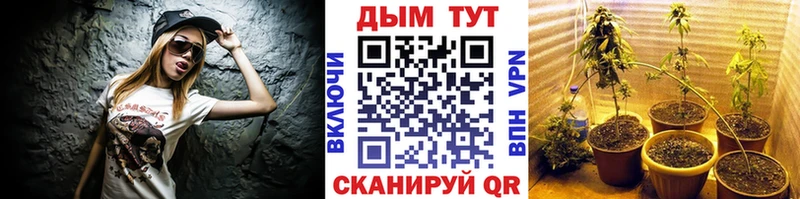 мега ССЫЛКА  Новошахтинск  Шишки марихуана план 
